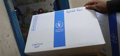 30jili agent login|World Food Programme halts movement in Gaza after repeated .